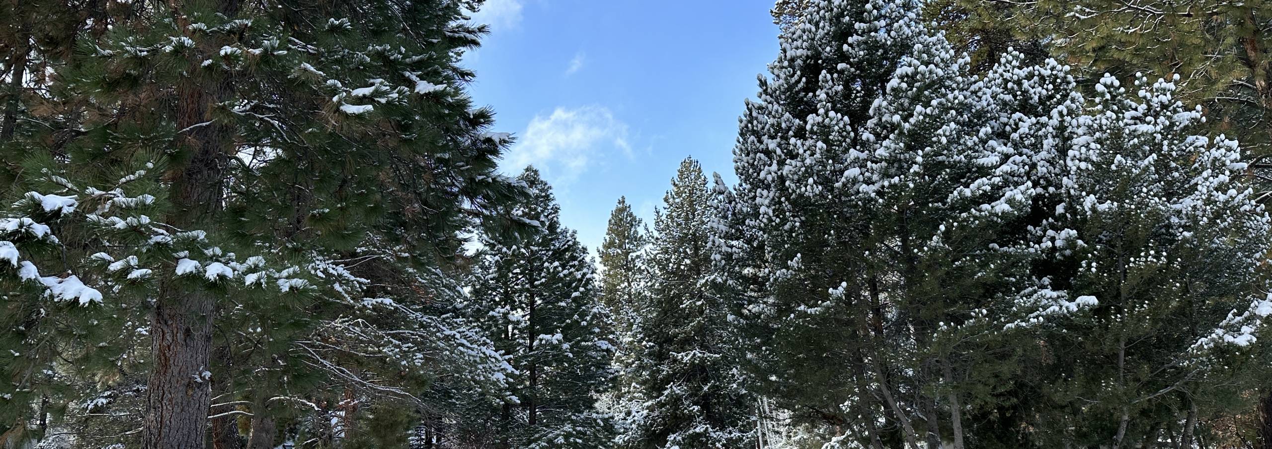 Central Oregon Vacation Rentals Black Butte Realty Group